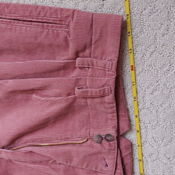 Corduroy - Picture 5 of 7